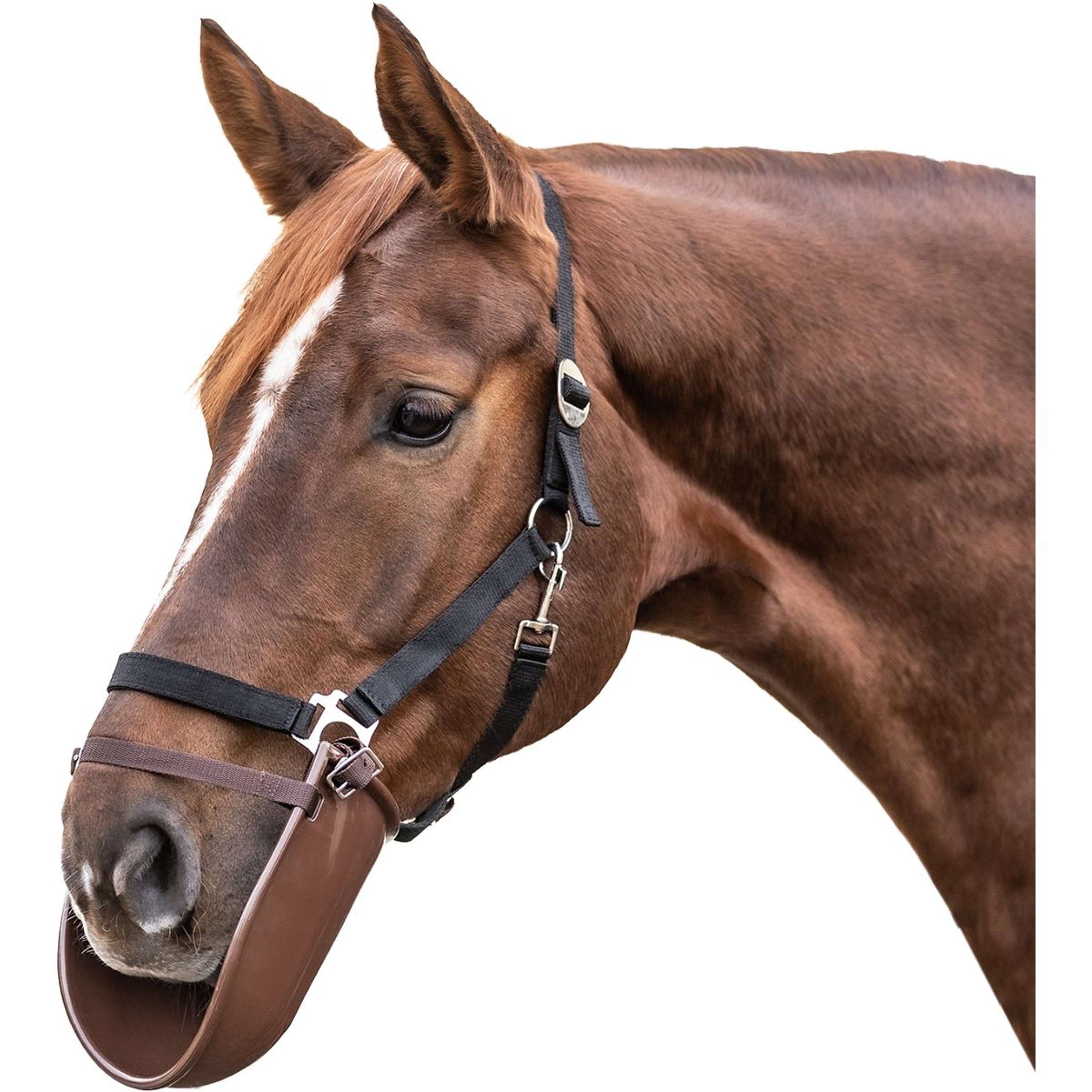 Waldhausen Beißschutz Kunststoff Beige Waldhausen Beißschutz Kunststoff Beige