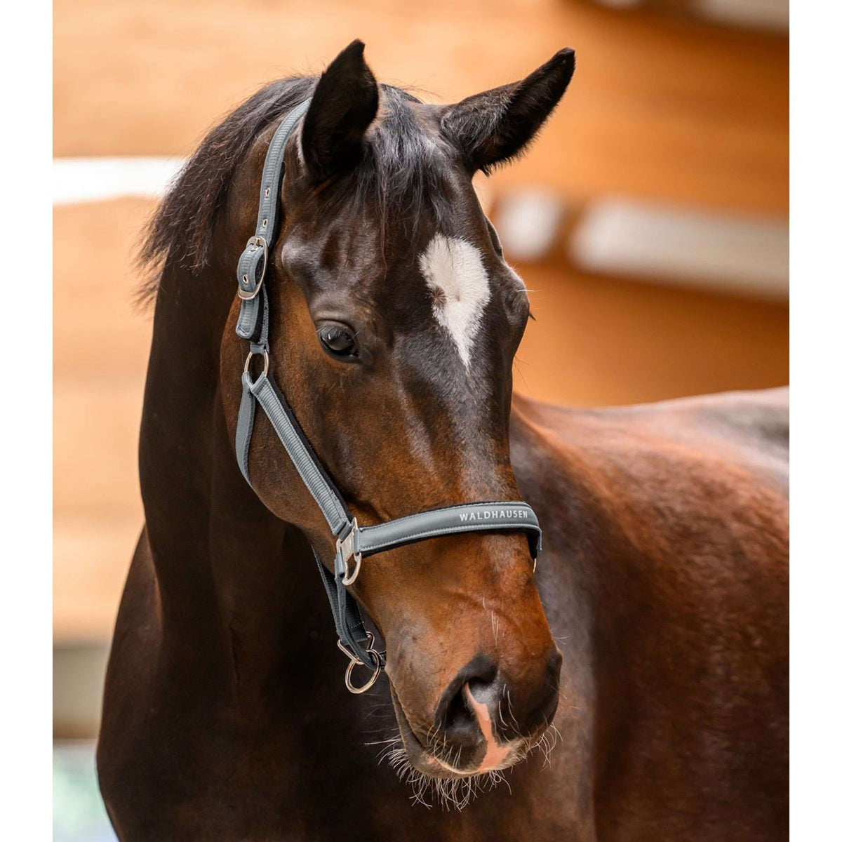 Waldhausen Halfter Athletic Chrome Grey