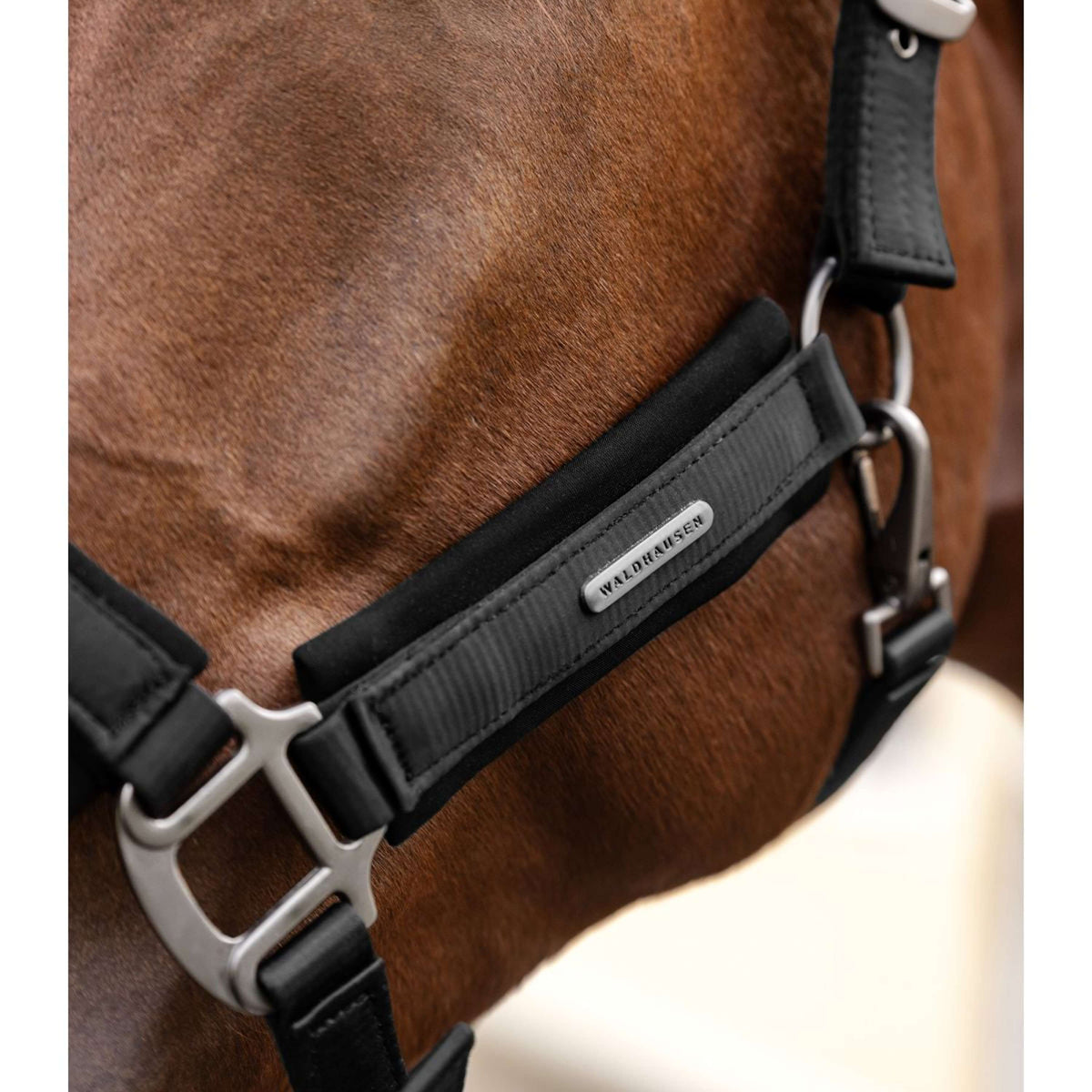Waldhausen Halfter Soft Touch Schwarz