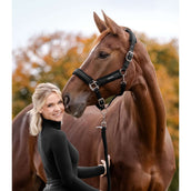 Waldhausen Halfter Soft Touch Schwarz