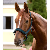 Waldhausen Halfter Soft Touch Petrol Blue