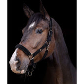 Waldhausen Halfter St. Gallen Schwarz