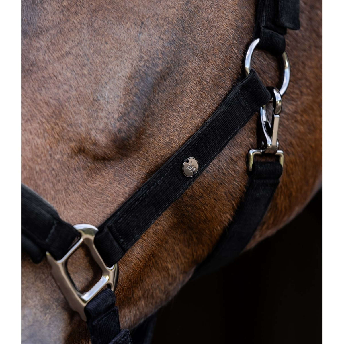 Waldhausen Halfter St. Gallen Schwarz