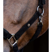 Waldhausen Halfter St. Gallen Schwarz