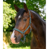 Waldhausen Halfter Trinidad Pine Green