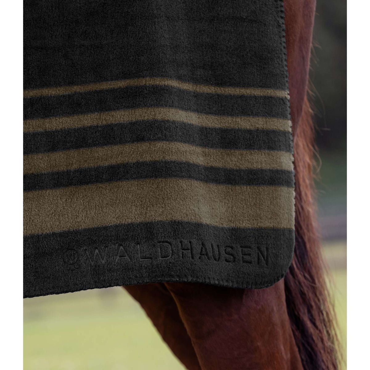 Waldhausen Abschwitzdecke Sölden Schwarz