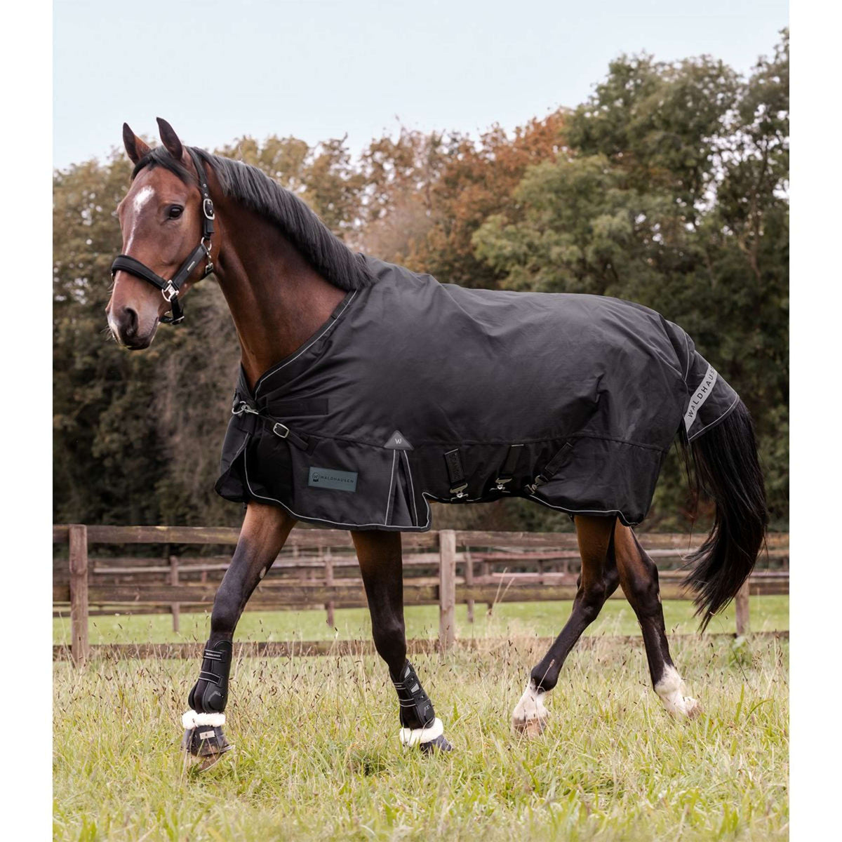 Waldhausen Outdoordecke Scandic Multi-Layer 50/150g Schwarz