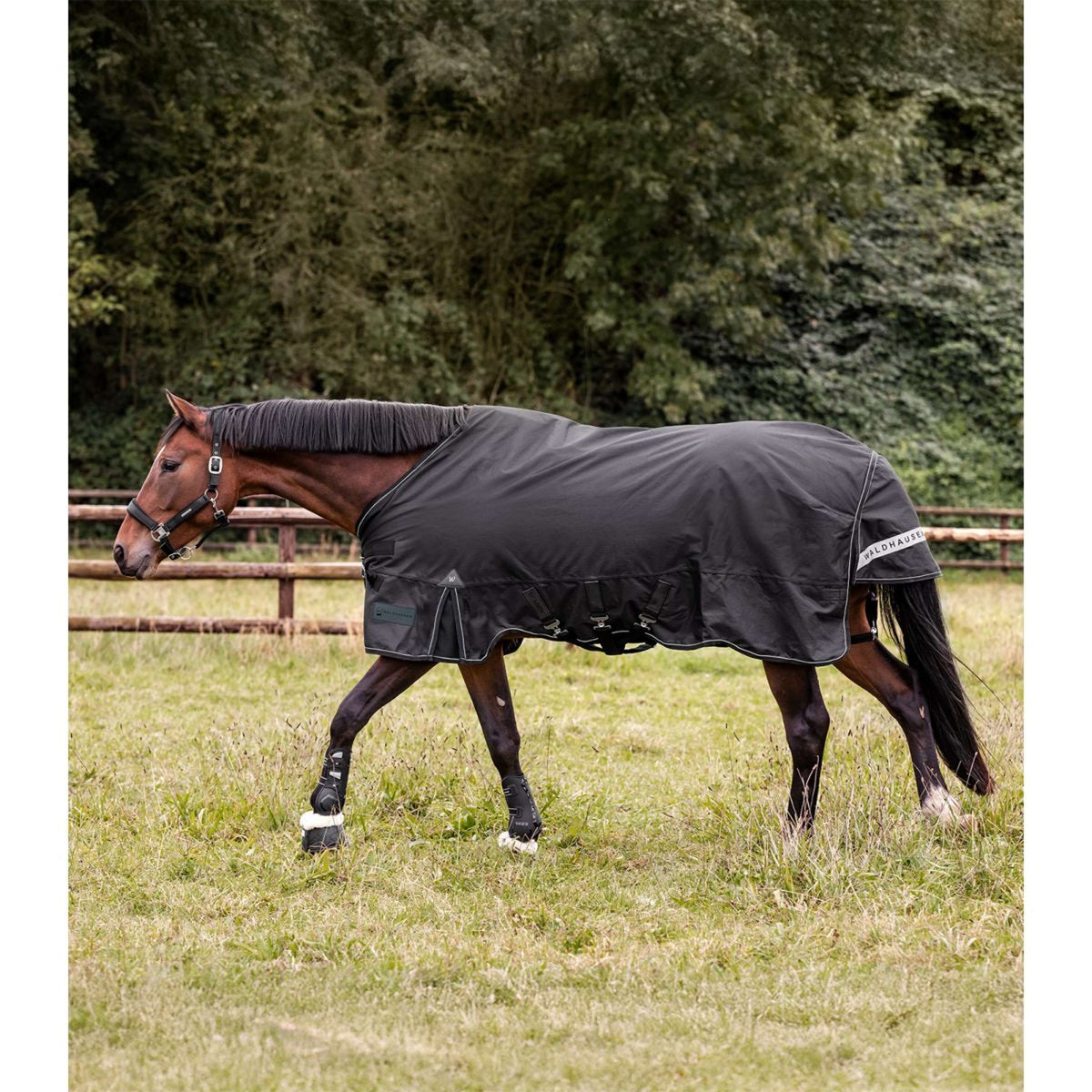 Waldhausen Outdoordecke Scandic Multi-Layer 100/250g Schwarz