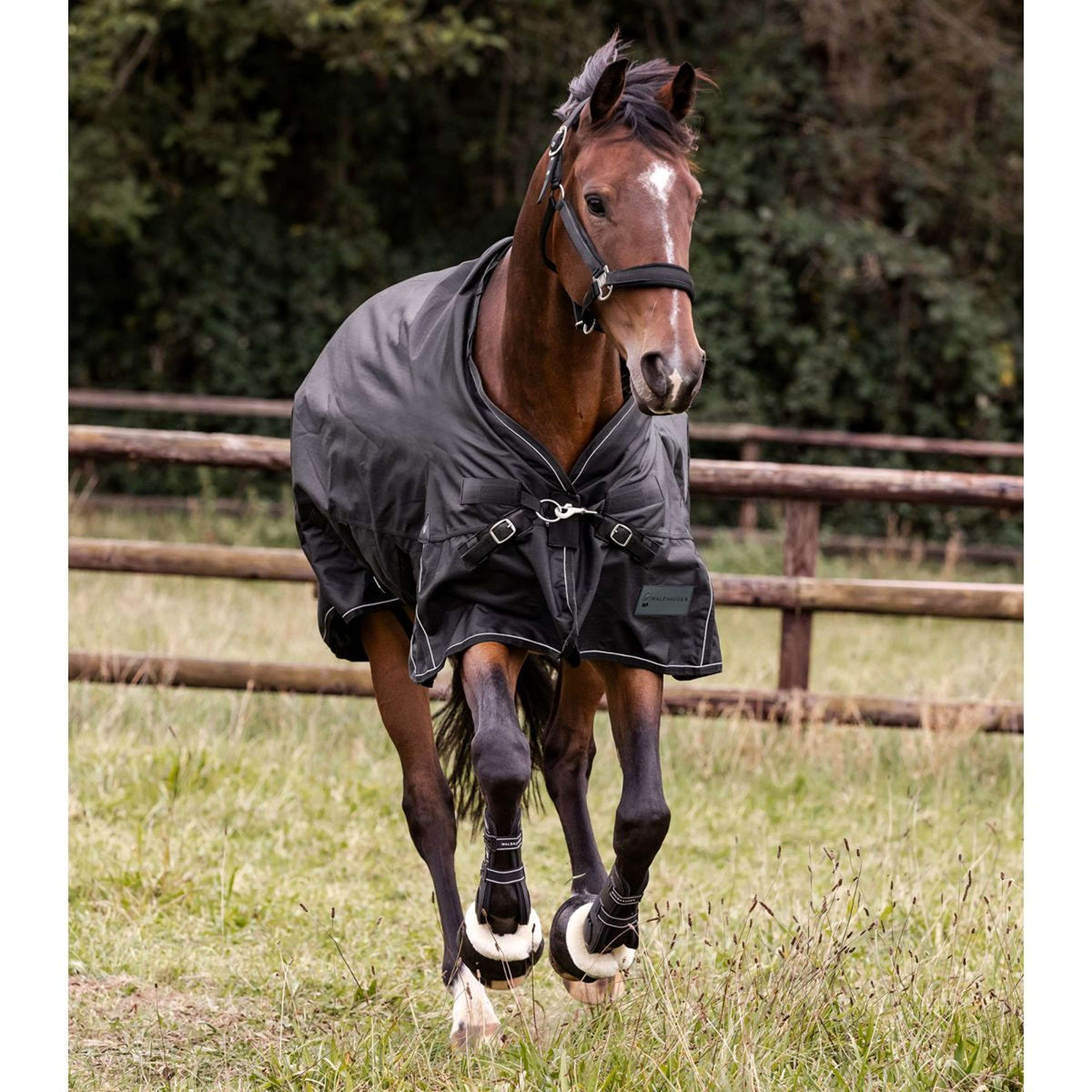 Waldhausen Outdoordecke Scandic Multi-Layer 100/250g Schwarz