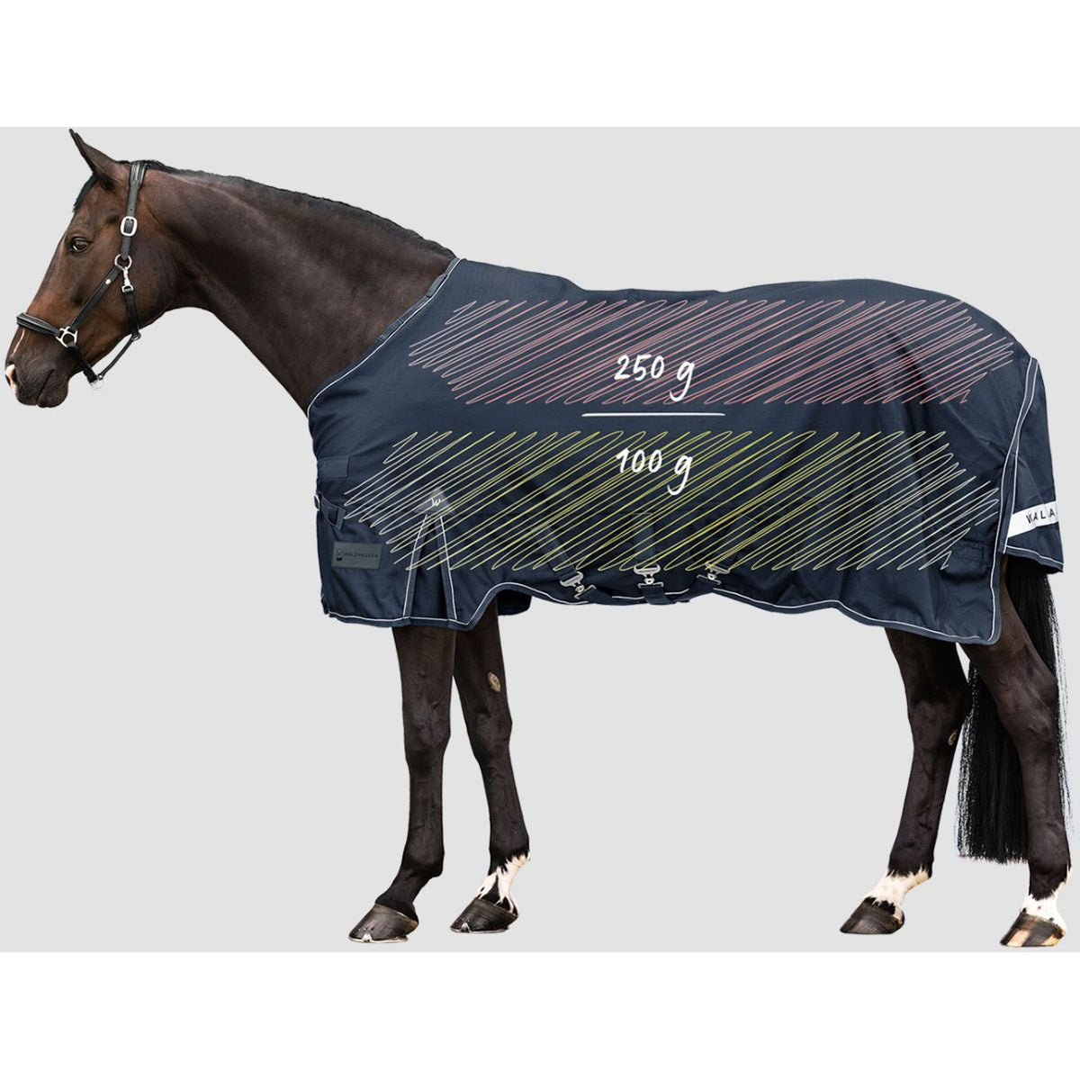 Waldhausen Outdoordecke Scandic Multi-Layer 100/250g Nightblue