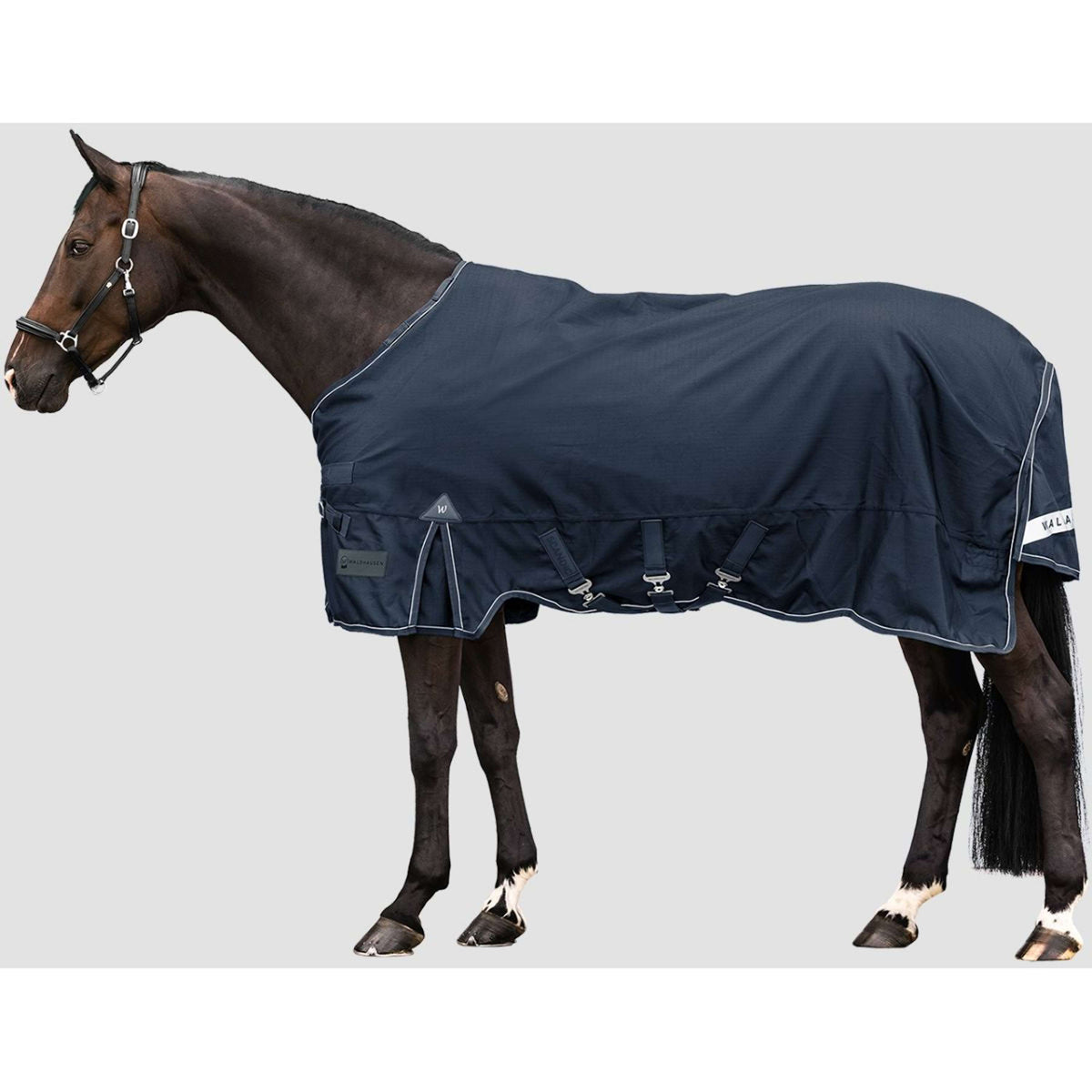 Waldhausen Outdoordecke Scandic Multi-Layer 100/250g Nightblue