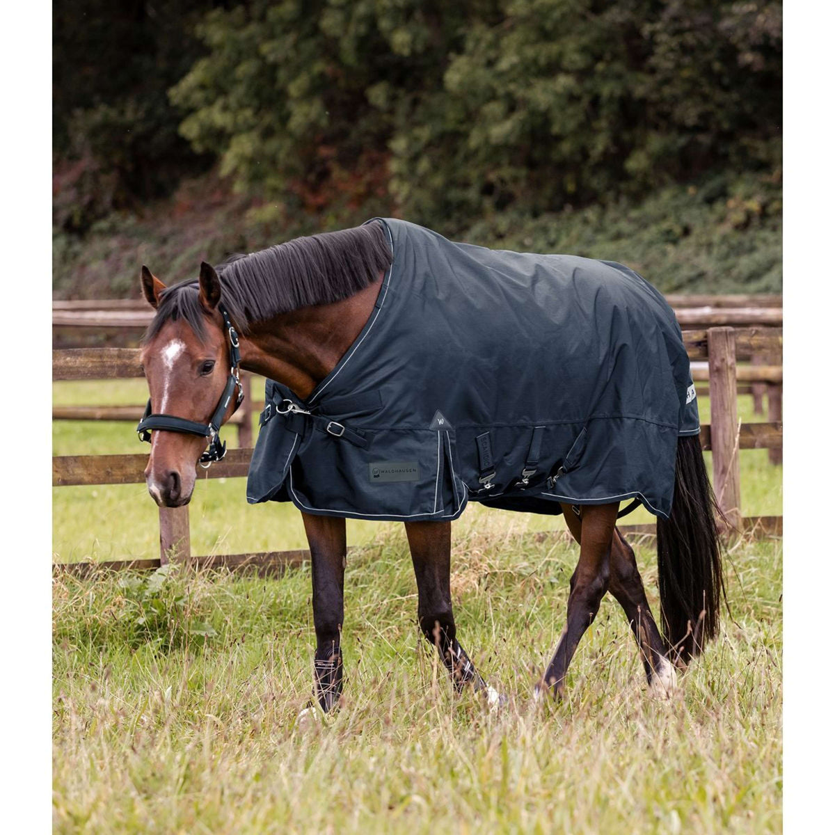 Waldhausen Outdoordecke Scandic Multi-Layer 100/250g Nightblue