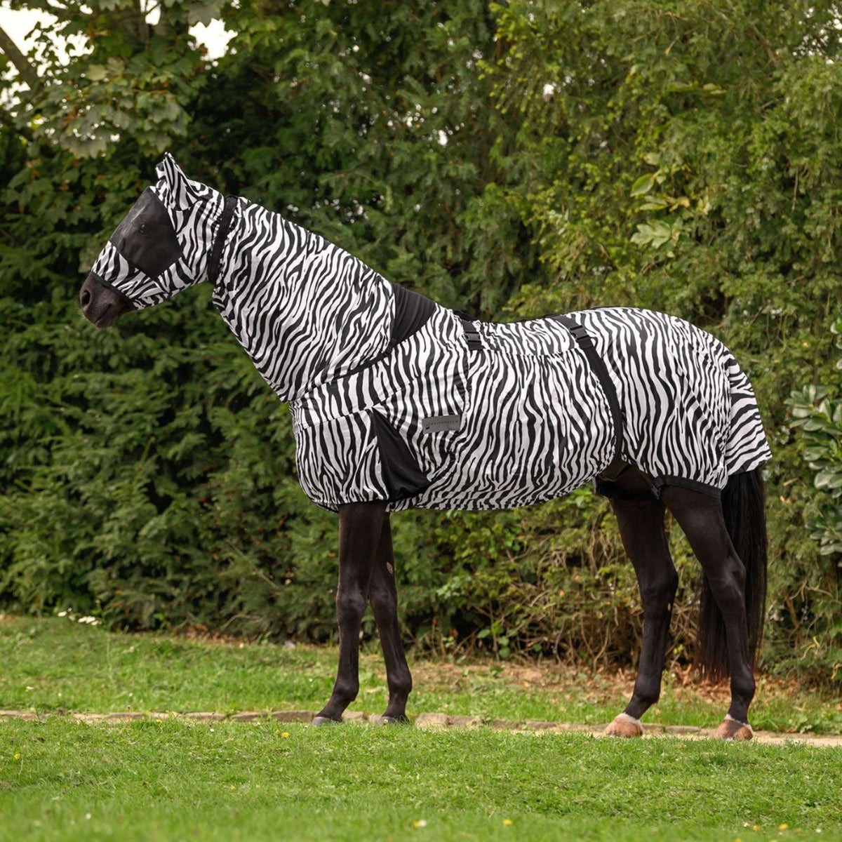 Waldhausen Ekzemerdecke Zebra Zebra
