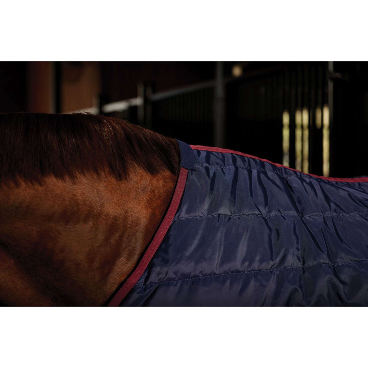 WeatherBeeta Stalldecke ComFiTec 210D Channel Quilt Standard Neck 100g Navy/Burgundy