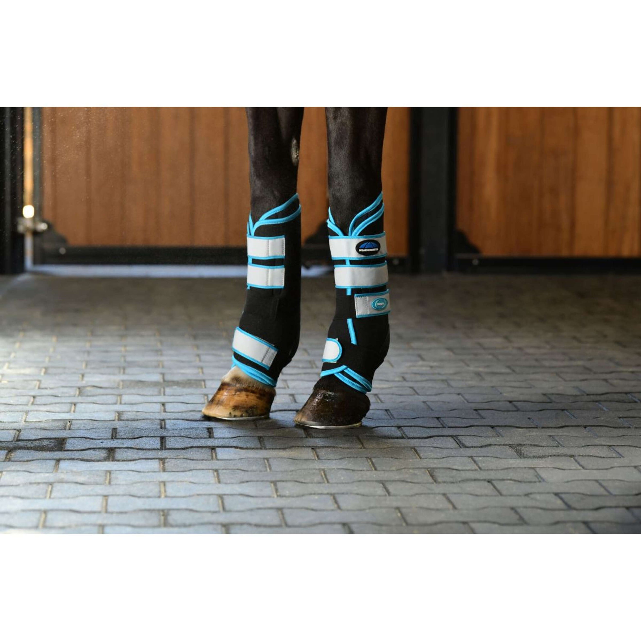 WeatherBeeta Wraps Therapy-Tec Stable Boot Schwarz/Blau WeatherBeeta Wraps Therapy-Tec Stable Boot Schwarz/Blau