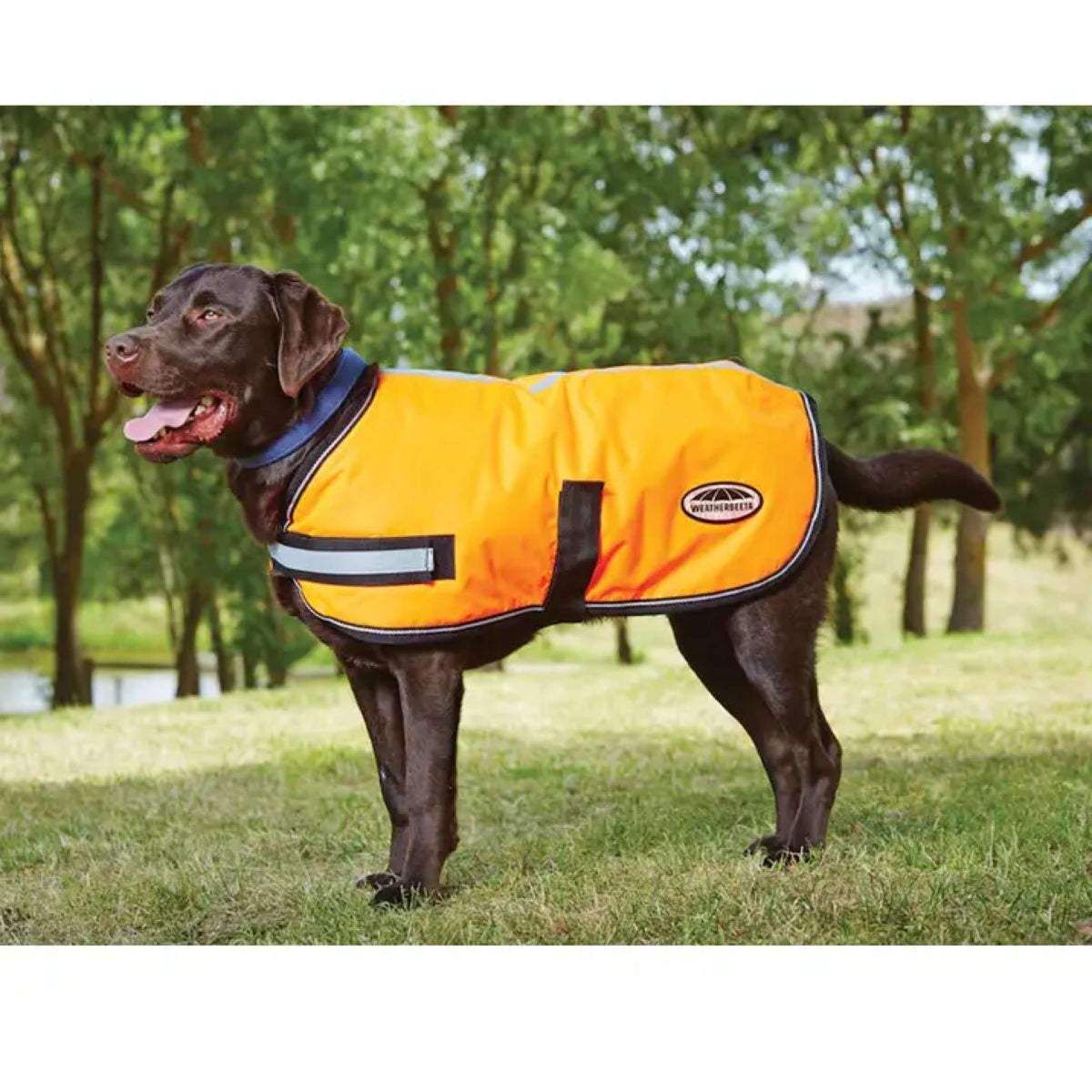 WeatherBeeta Dog Coat Reflektierend Parka 300D Orange