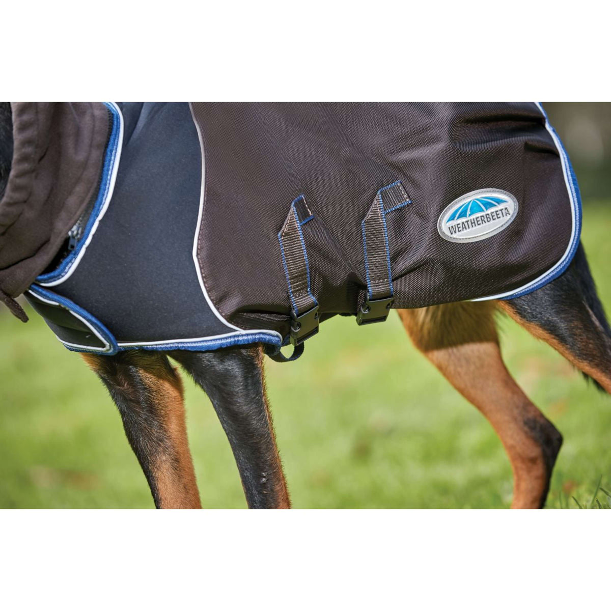 Weatherbeeta Hundedecke Comfitec Ultra Cozi II Medium/Lite Charcoal/Teal Blue/White