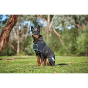 Weatherbeeta Hundedecke Comfitec Ultra Cozi II Medium/Lite Charcoal/Teal Blue/White