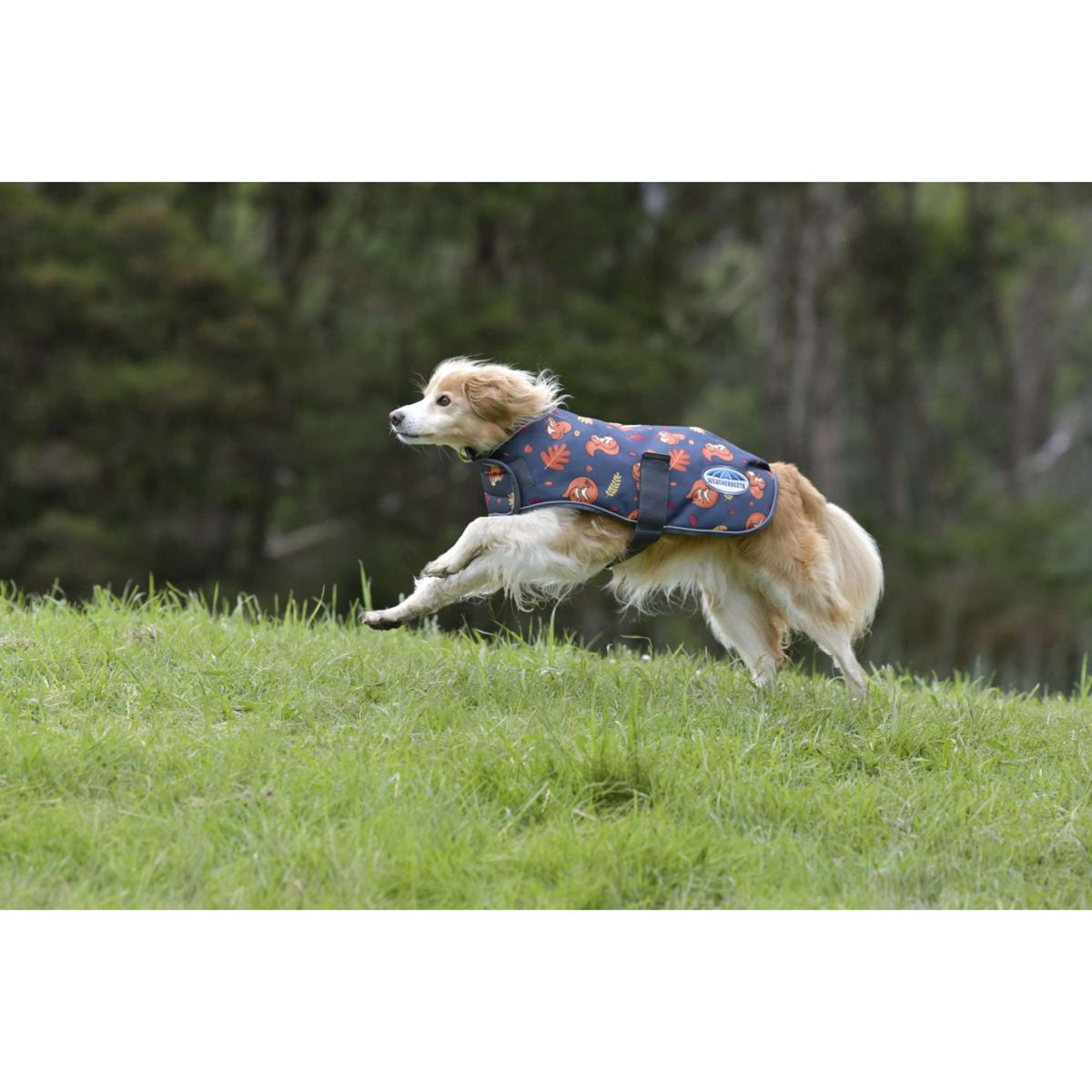 Weatherbeeta Hundedecke Comfitec Premier Free Parka Medium Squirrel Print