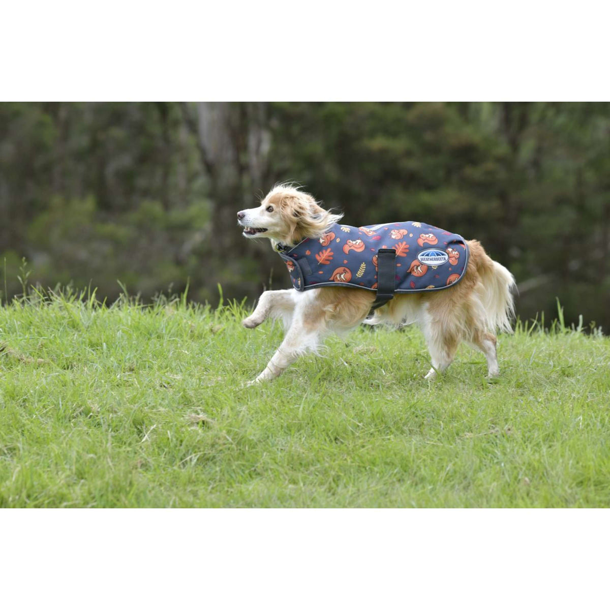 Weatherbeeta Hundedecke Comfitec Premier Free Parka Medium Squirrel Print