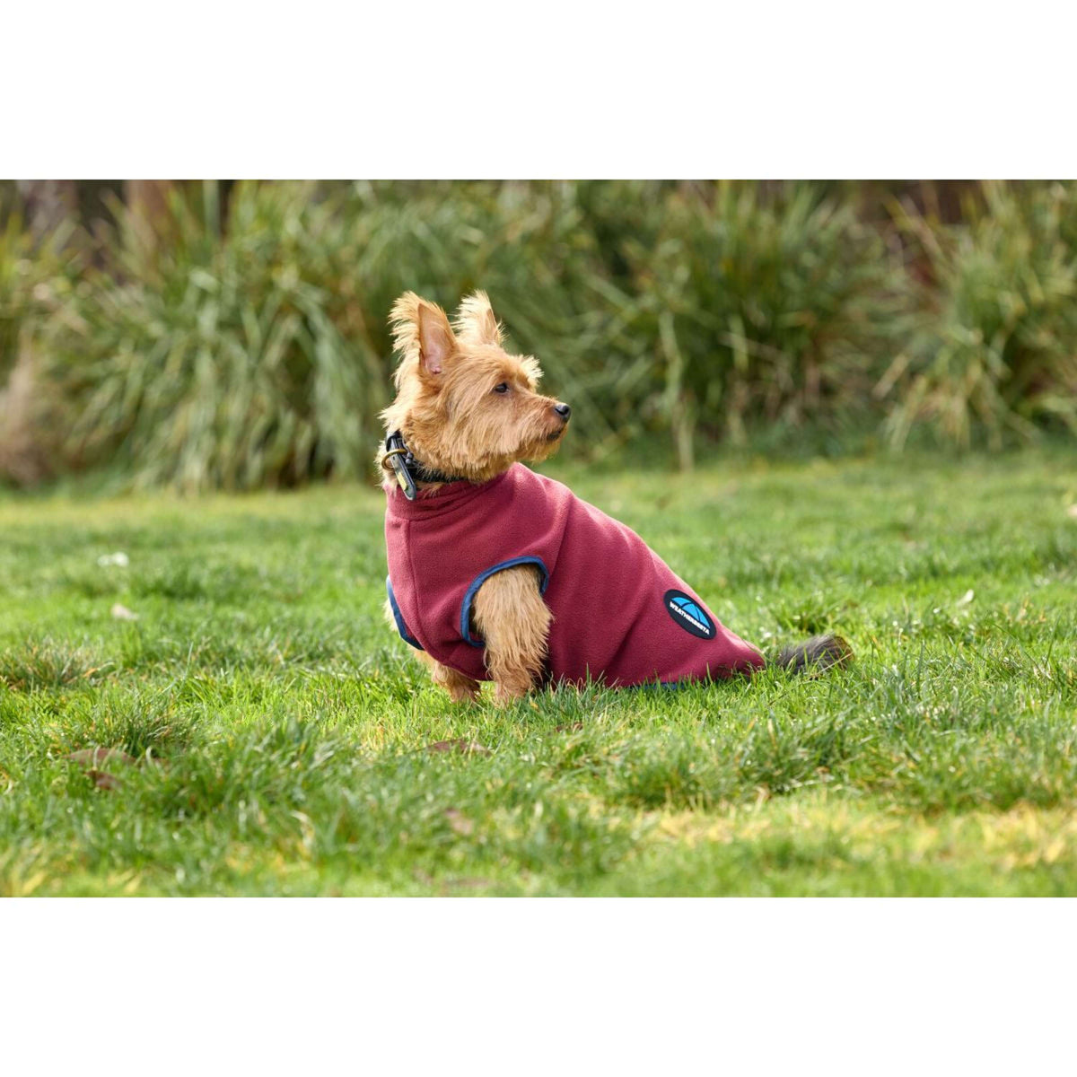 WeatherBeeta Hundedecke ComFiTec Fleece Zip Burgund/Navy