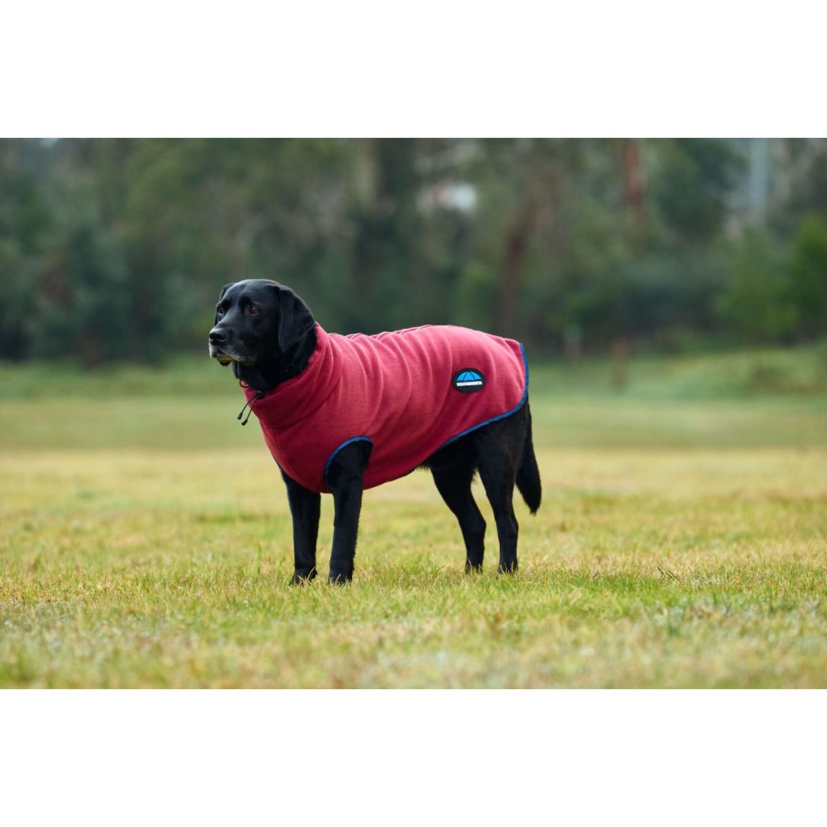 WeatherBeeta Hundedecke ComFiTec Fleece Zip Burgund/Navy