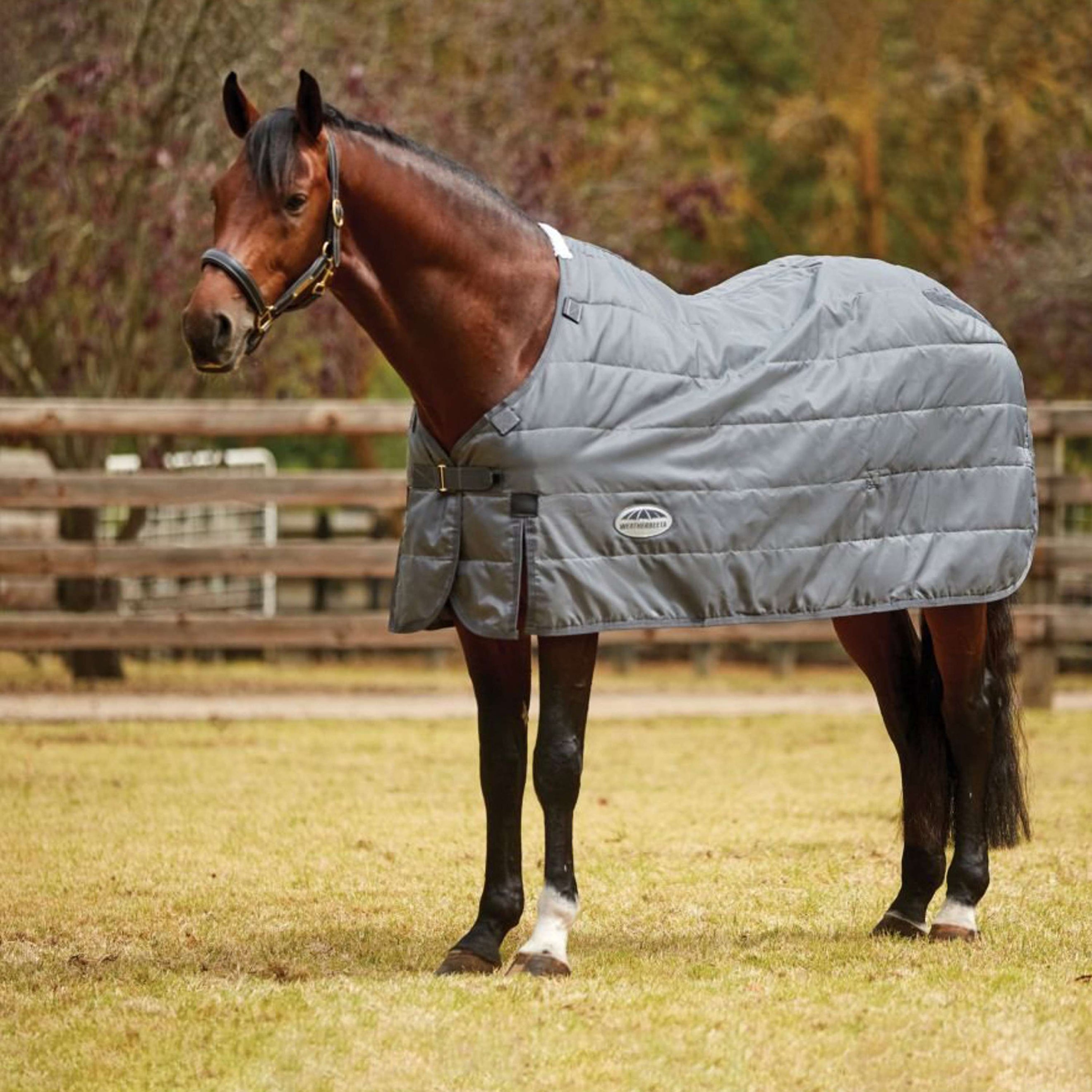 WeatherBeeta Liner ComFiTec Thermi Heat Medium/Lite Grau WeatherBeeta Liner ComFiTec Thermi Heat Medium/Lite Grau