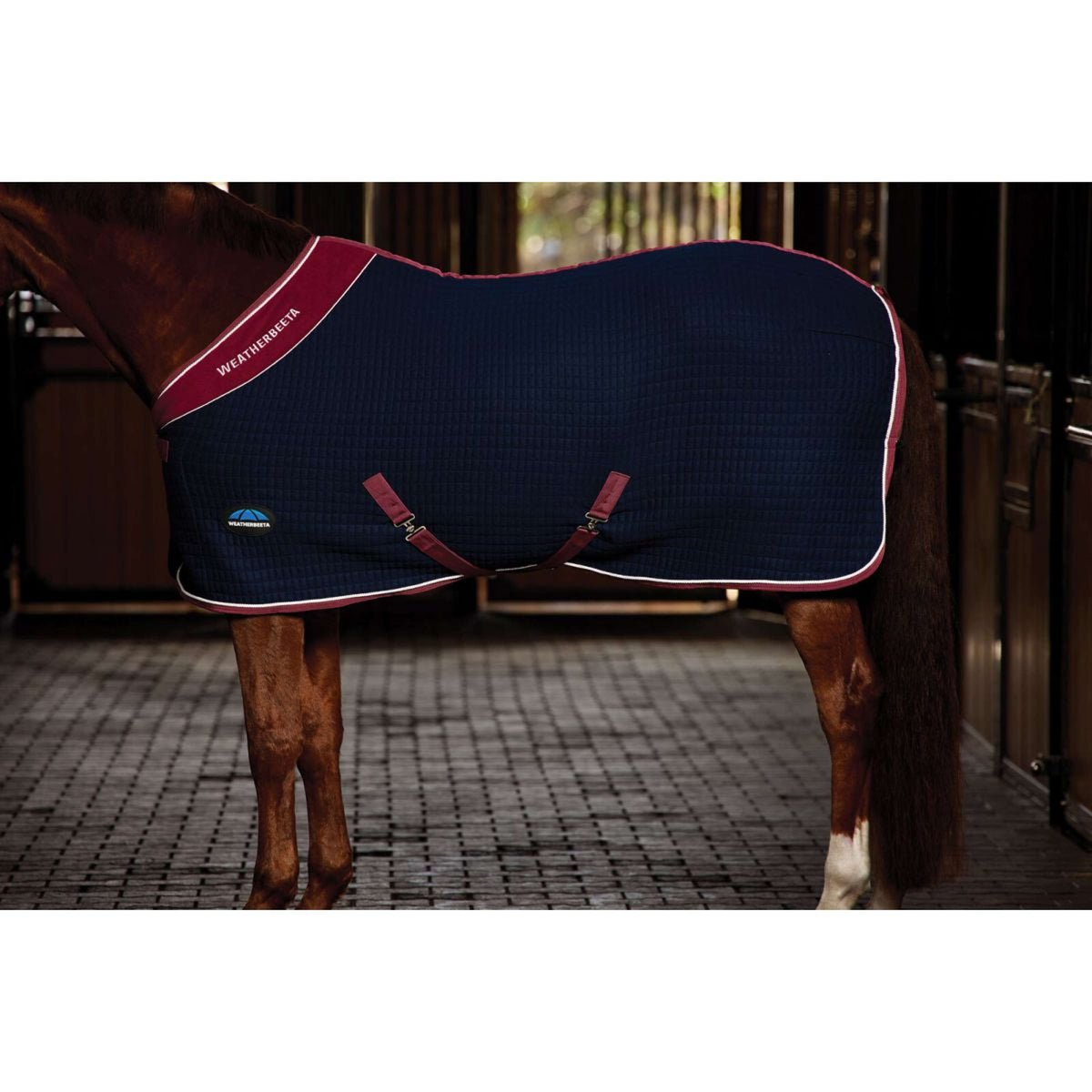 WeatherBeeta Cooler Thermocell Standard Neck Navy/Burgundy