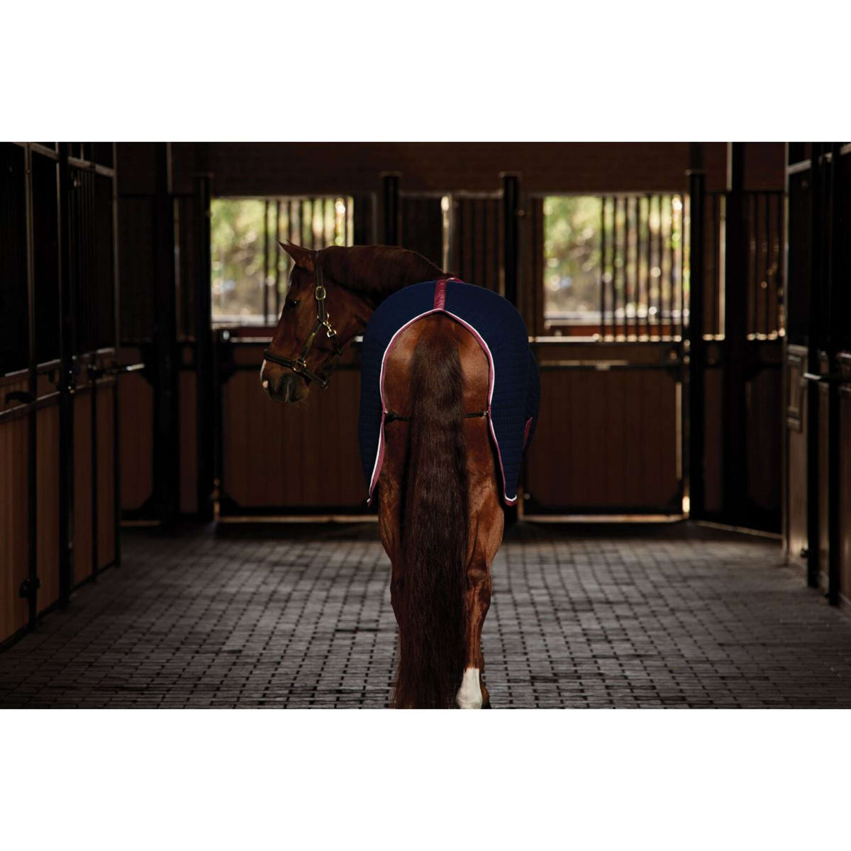 WeatherBeeta Cooler Thermocell Standard Neck Navy/Burgundy