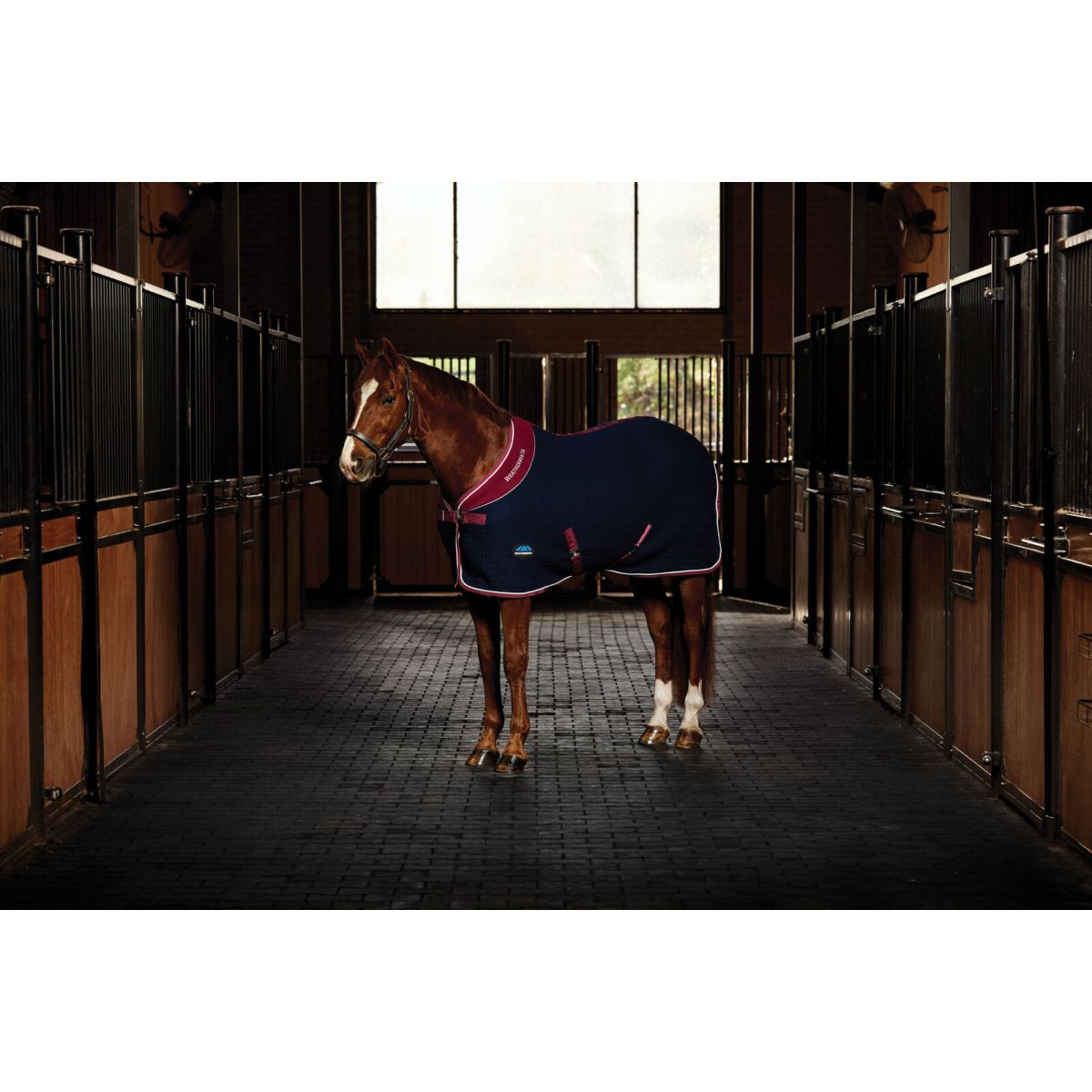 WeatherBeeta Cooler Thermocell Standard Neck Navy/Burgundy