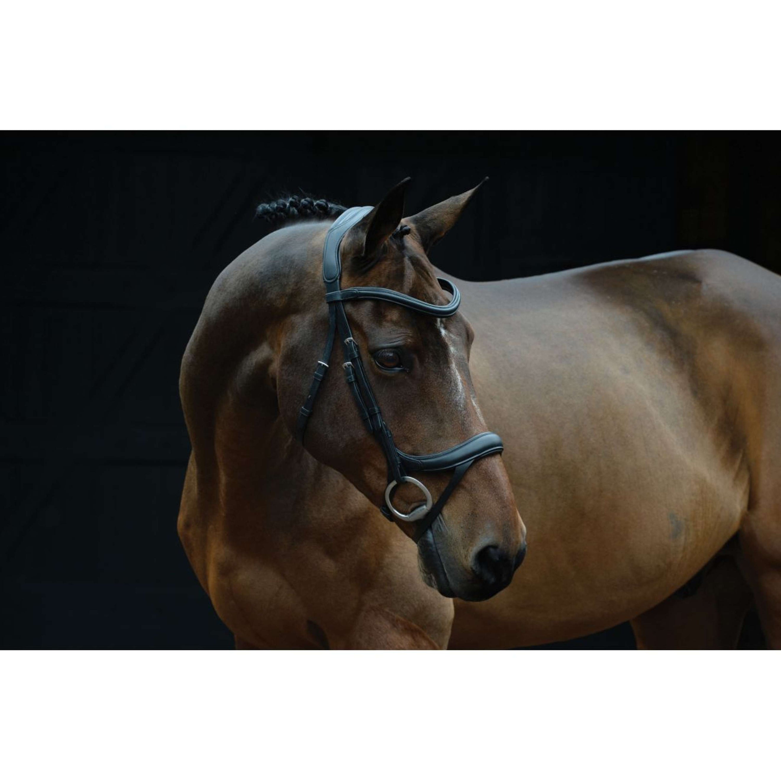 Collegiate Zaum ComFiTec Vogue Anatomisch Schwarz Collegiate Zaum ComFiTec Vogue Anatomisch Schwarz