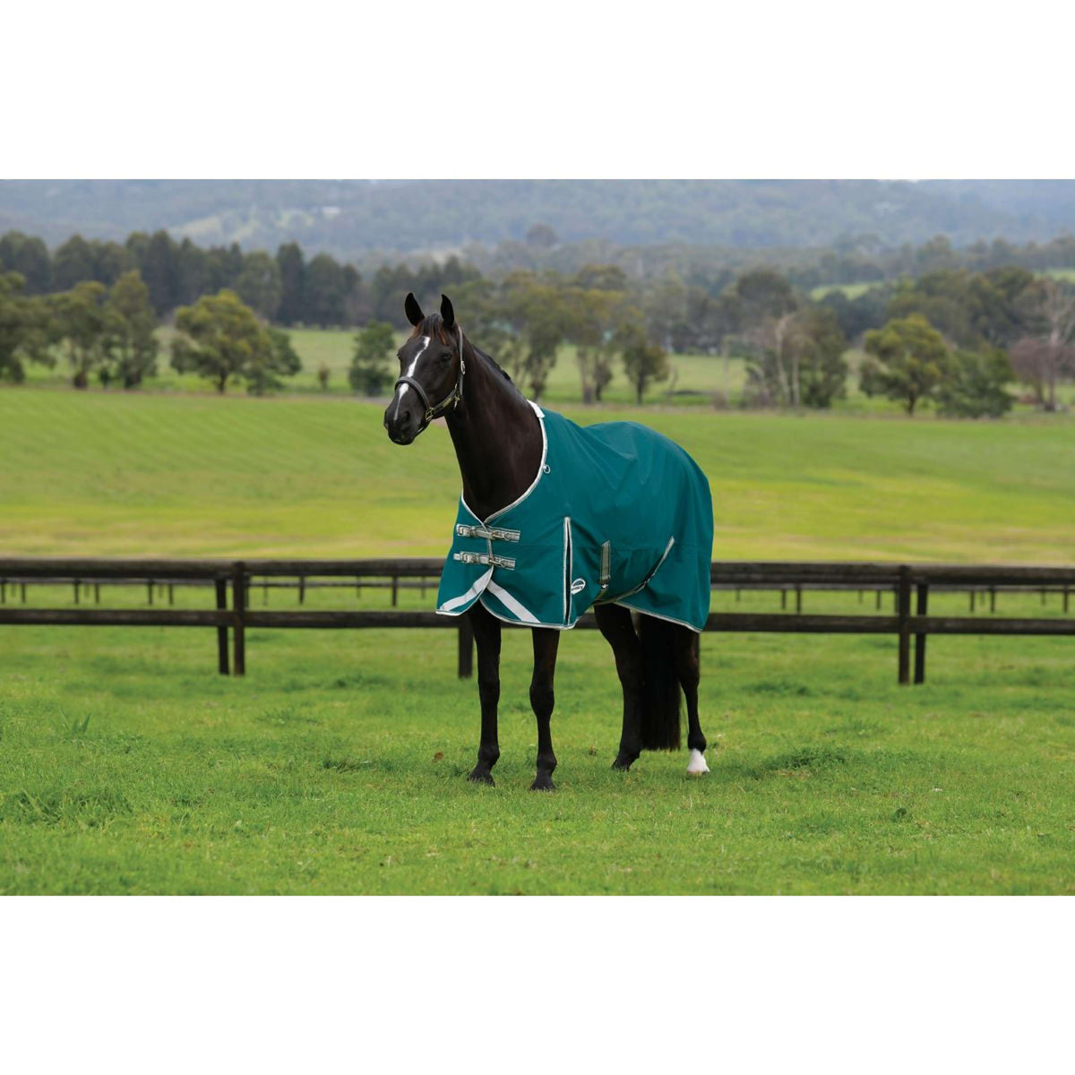 Weatherbeeta Regendecke Comfitec Plus Dynamic II Standard Neck Lite 0g Teal Green/Stone/Teal Green