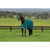 Weatherbeeta Regendecke Comfitec Plus Dynamic II Standard Neck Lite 0g Teal Green/Stone/Teal Green