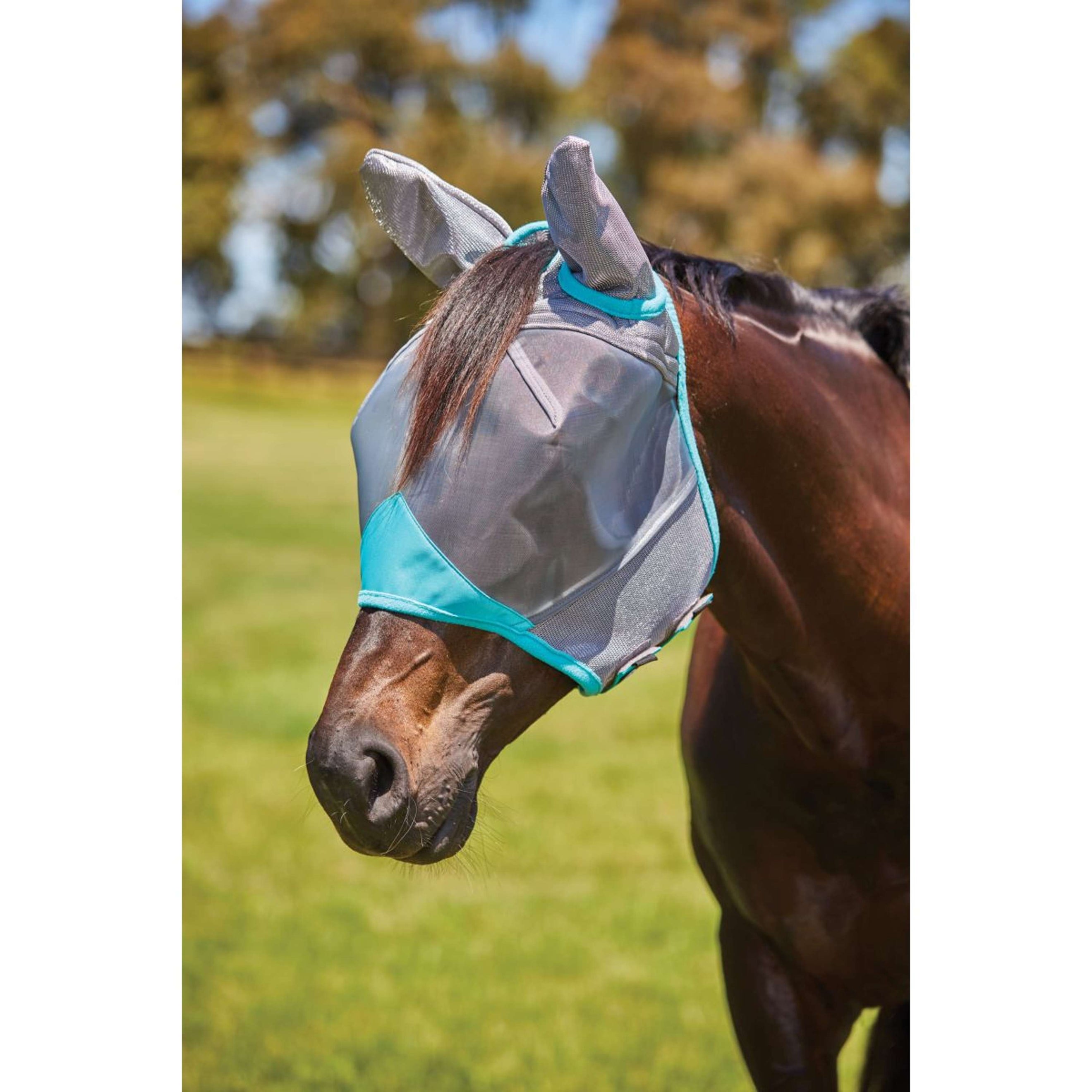 Weatherbeeta Fliegenmaske Comfitec Deluxe Fine Mesh mit Ohren Grau/Turquoise Weatherbeeta Fliegenmaske Comfitec Deluxe Fine Mesh mit Ohren Grau/Turquoise