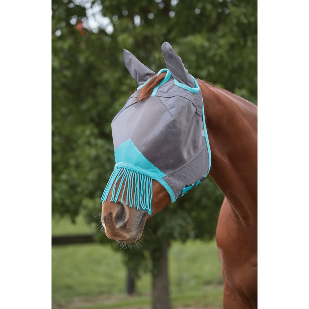 Weatherbeeta Fliegenmaske Comfitec Deluxe Fine Mesh mit Ohren und Fransen Grau/Turquoise