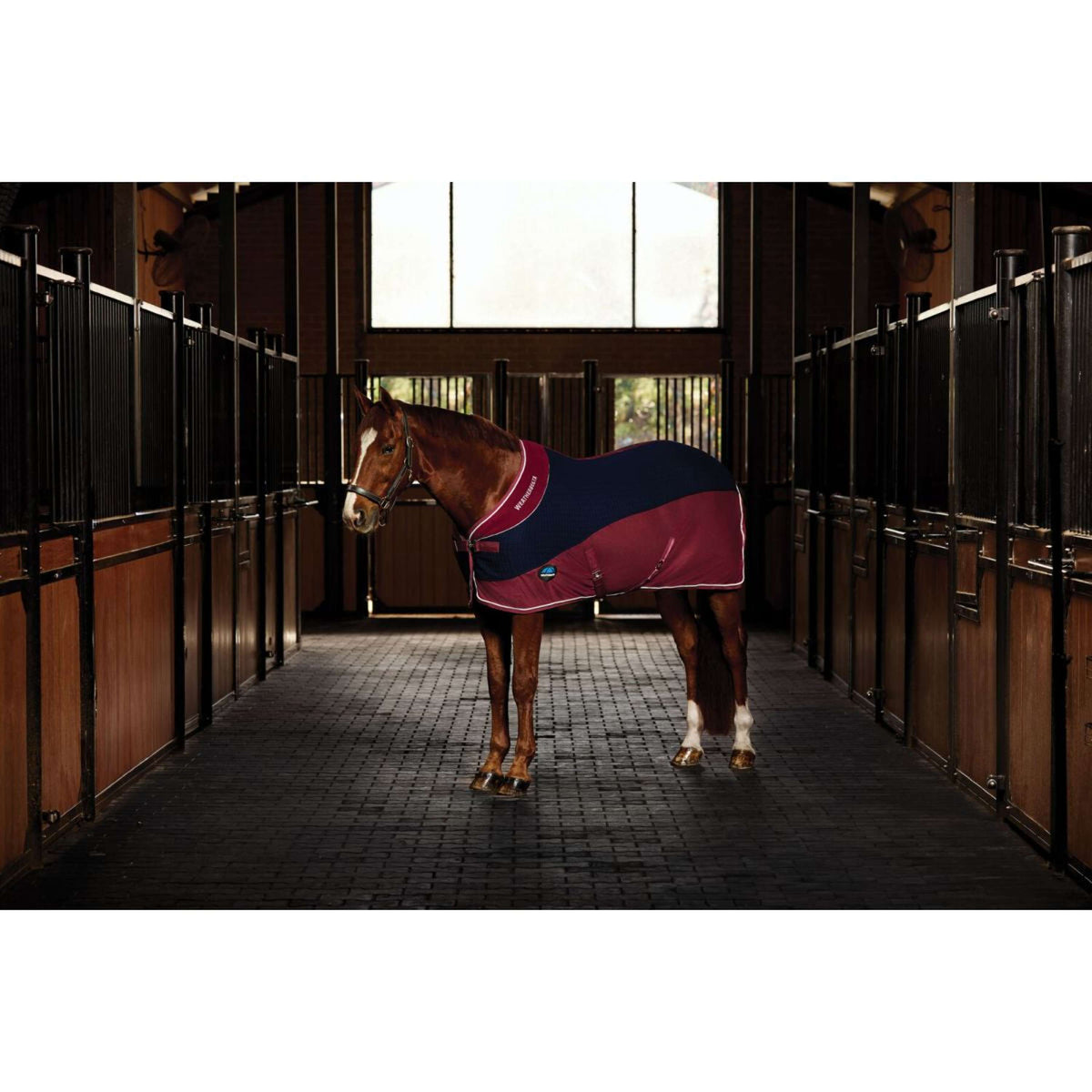 WeatherBeeta Fleecedecke Thermo-Air Standard Neck Navy/Burgundy