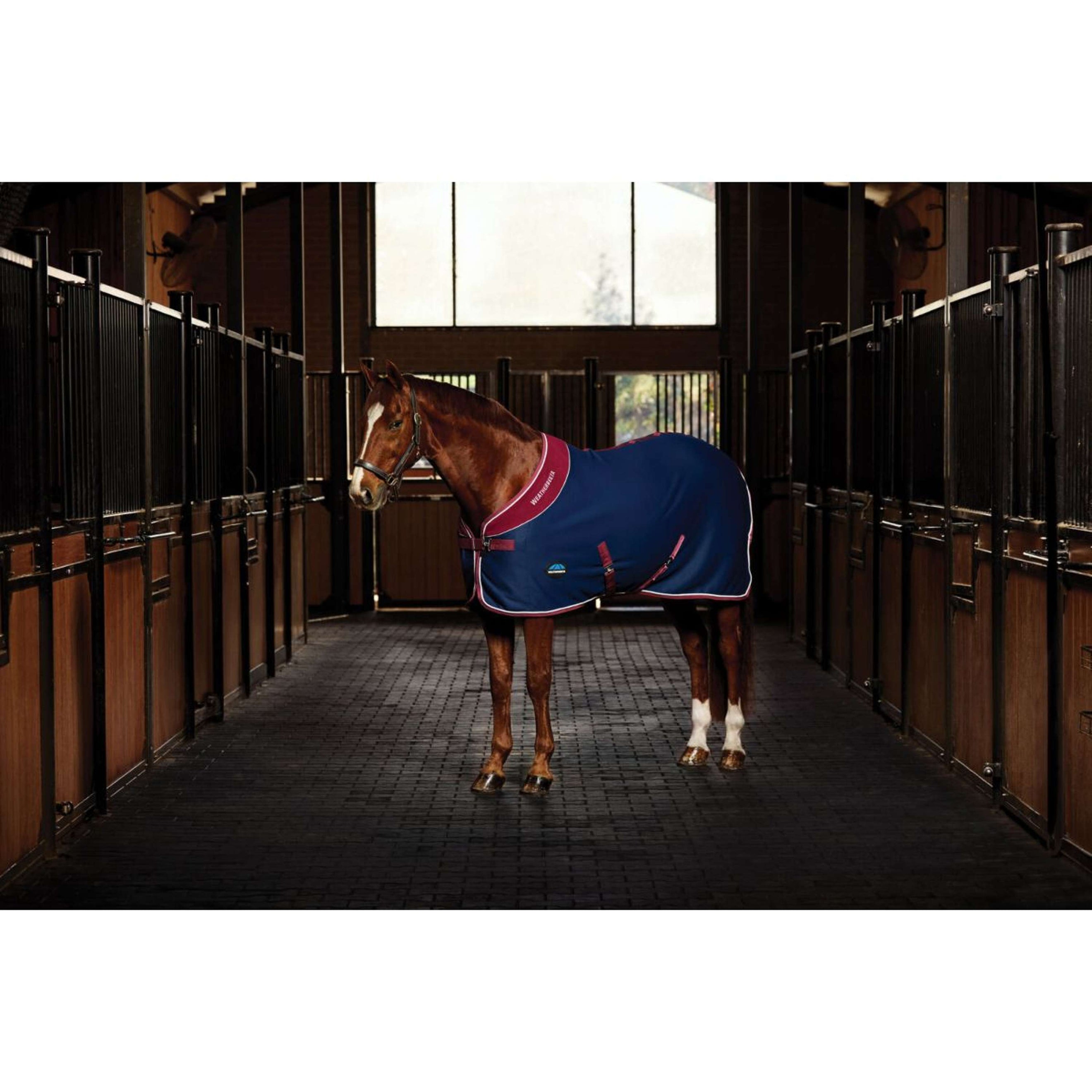 WeatherBeeta Showdecke Opulence Standard Neck Navy/Burgundy WeatherBeeta Showdecke Opulence Standard Neck Navy/Burgundy