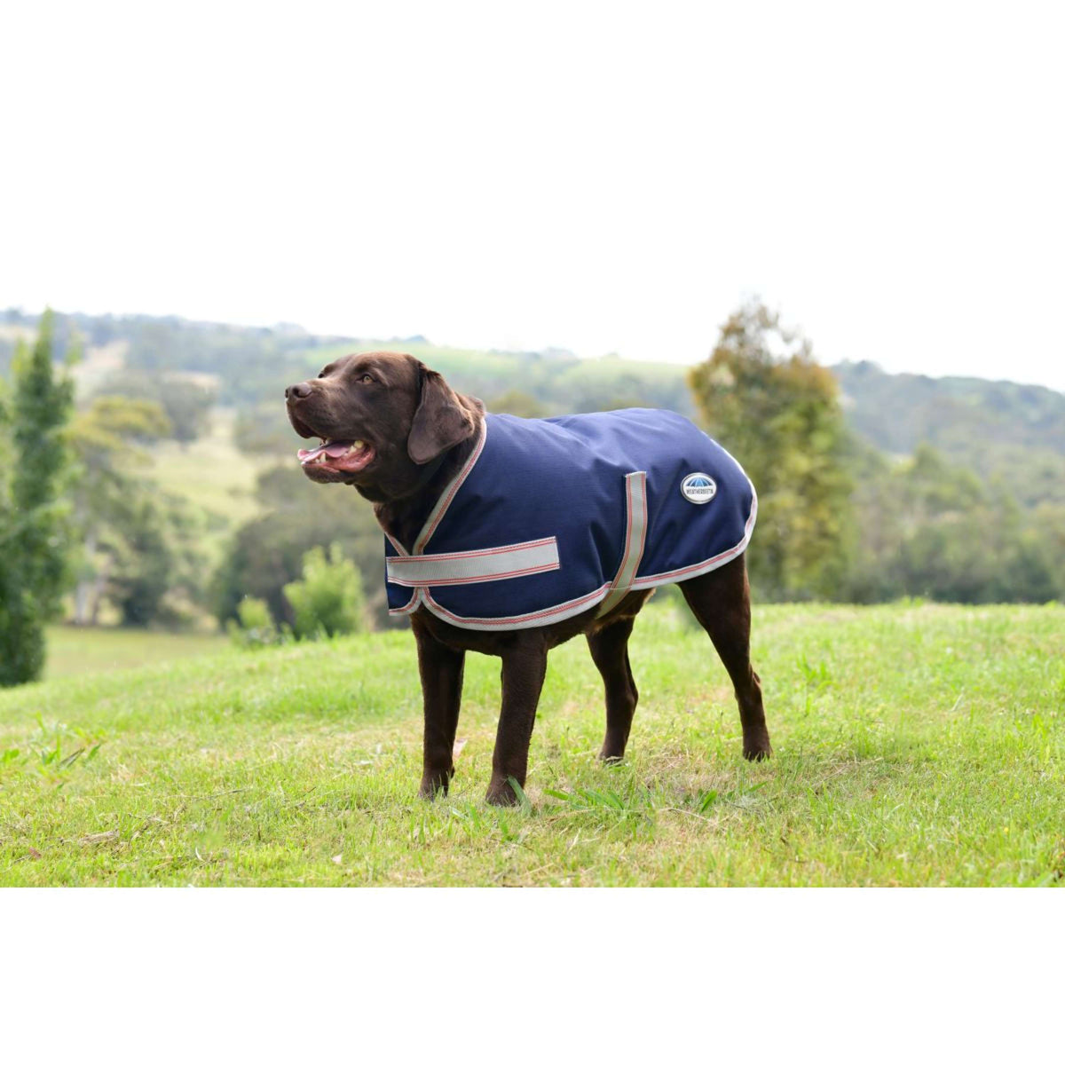 Weatherbeeta Hundedecke Comfitec Essential Navy/Silver/Red