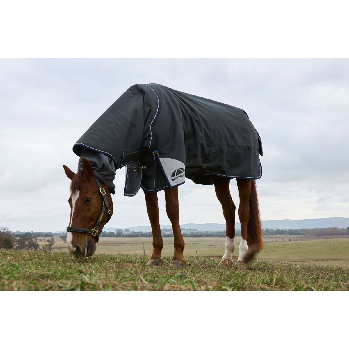 WeatherBeeta ComFiTec Ultra Turnout Detach-A-Neck 220g Kohle
