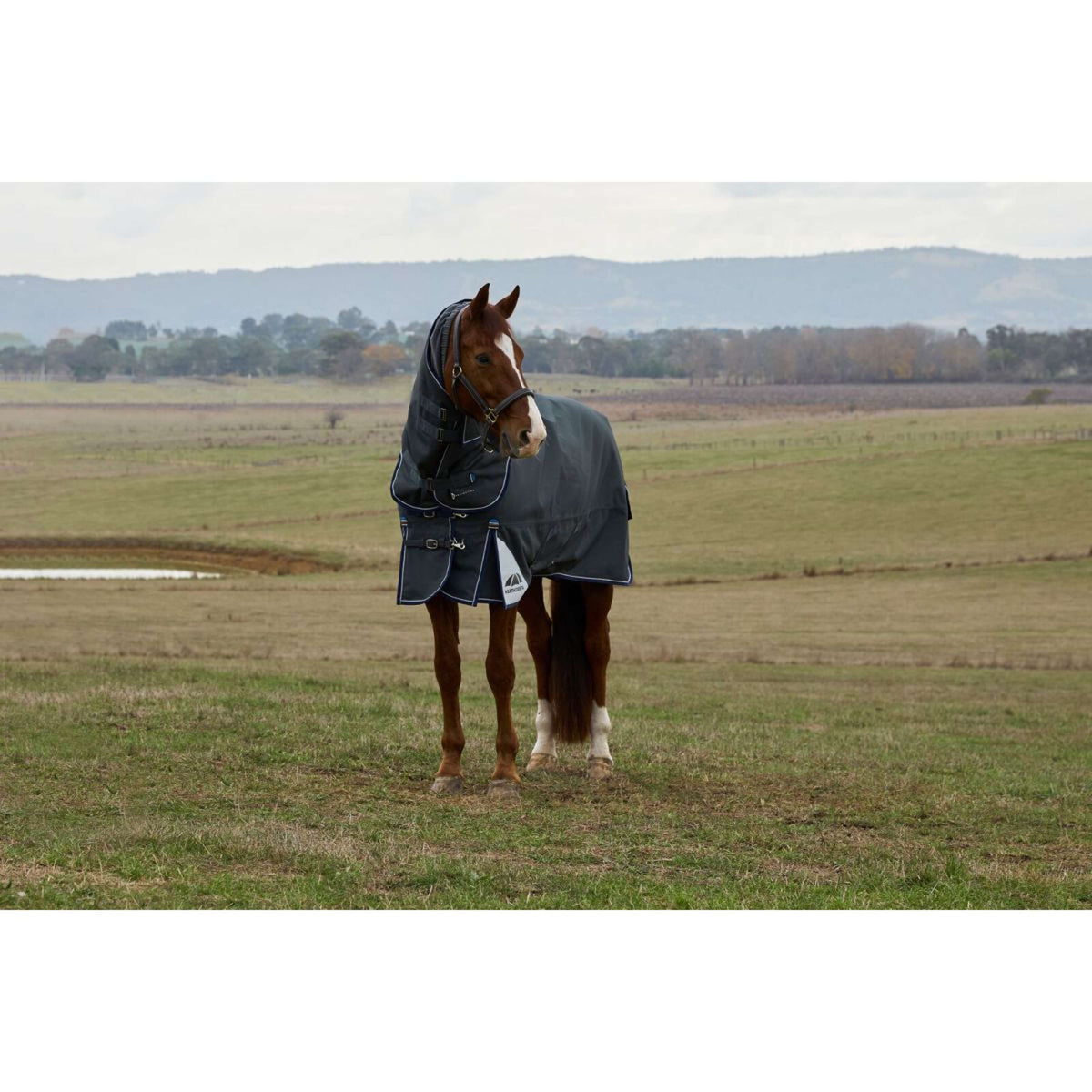 WeatherBeeta ComFiTec Ultra Turnout Detach-A-Neck 220g Kohle