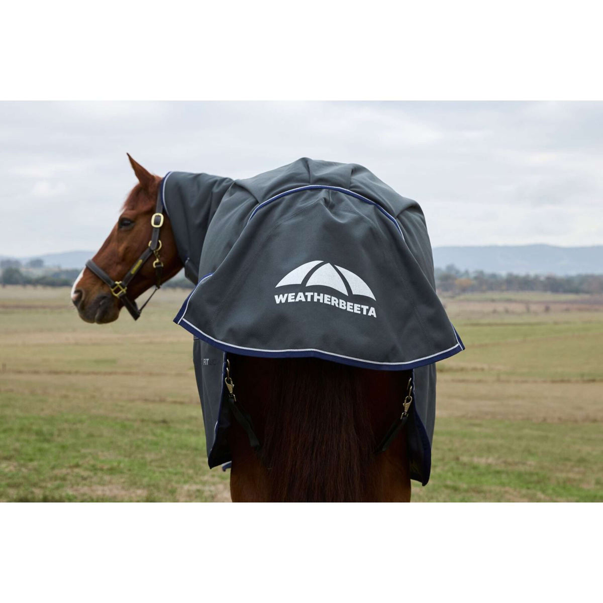 WeatherBeeta ComFiTec Ultra Turnout Detach-A-Neck 220g Kohle