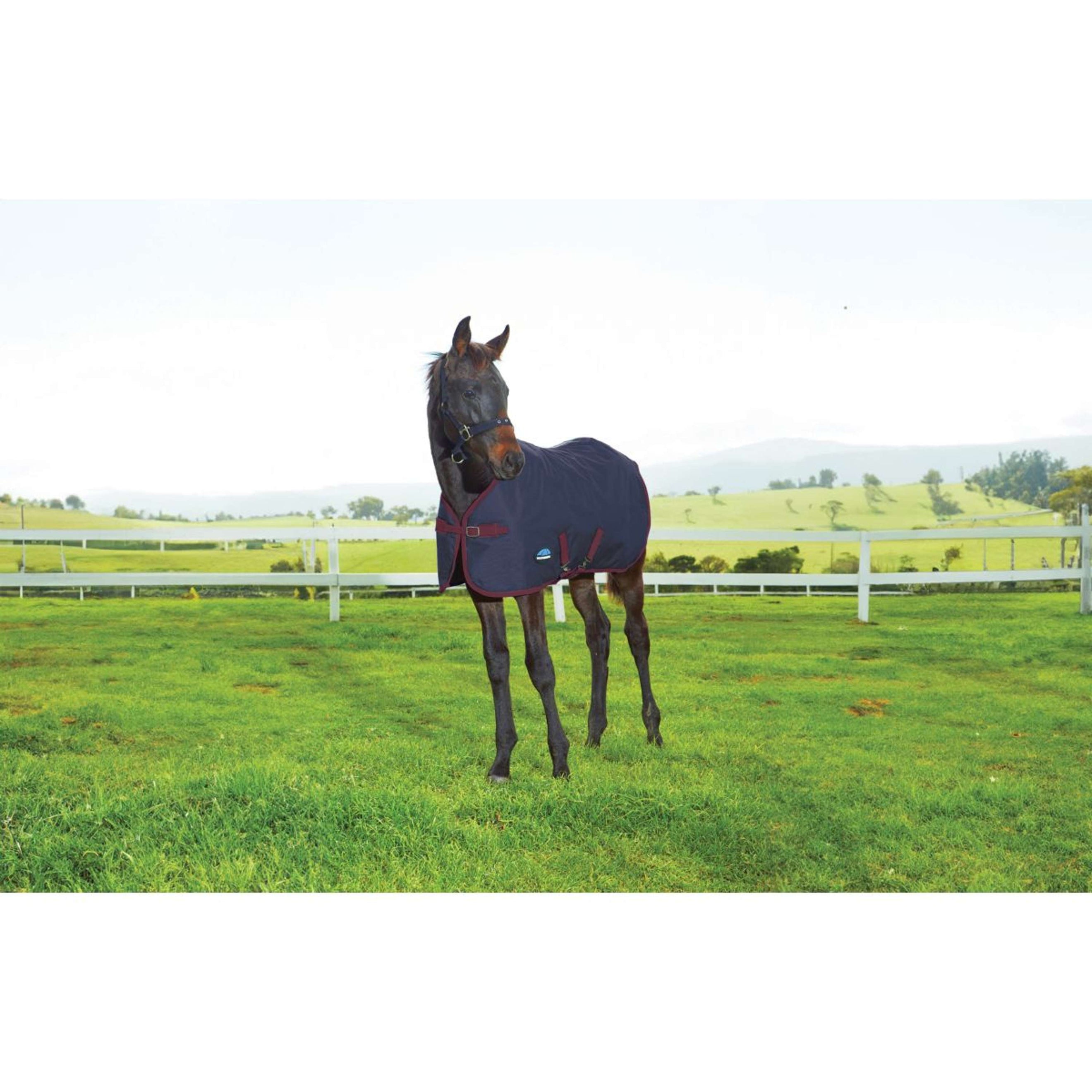 WeatherBeeta Fohlendecke 1200D Standard Neck 220g Navy/Burgundy