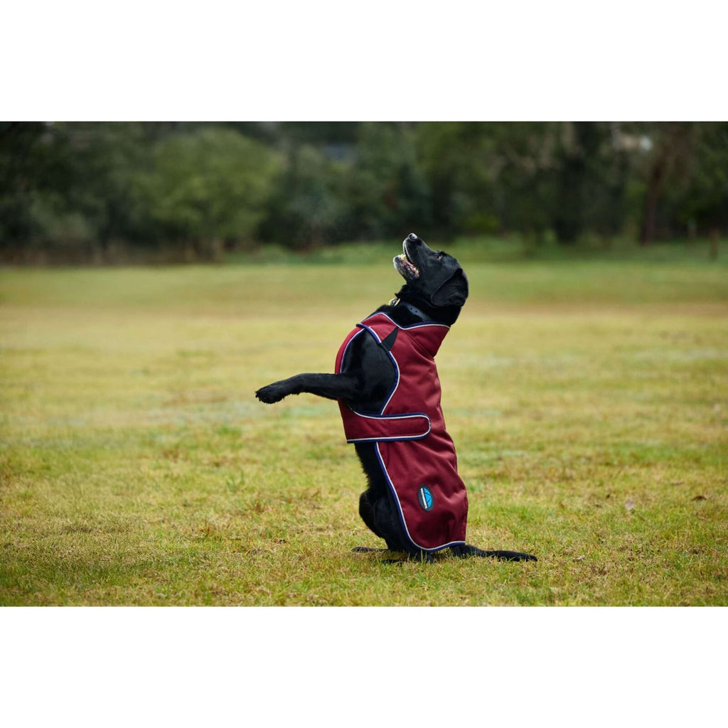 WeatherBeeta Hundedecke ComFiTec Premier Deluxe Waterproof Burgund/Navy