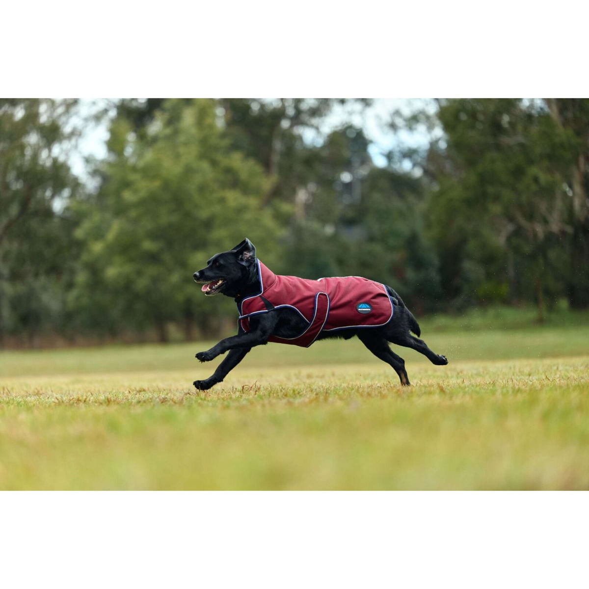 WeatherBeeta Hundedecke ComFiTec Premier Deluxe Waterproof Burgund/Navy