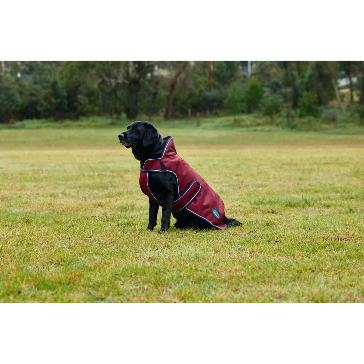 WeatherBeeta Hundedecke ComFiTec Premier Deluxe Waterproof Burgund/Navy