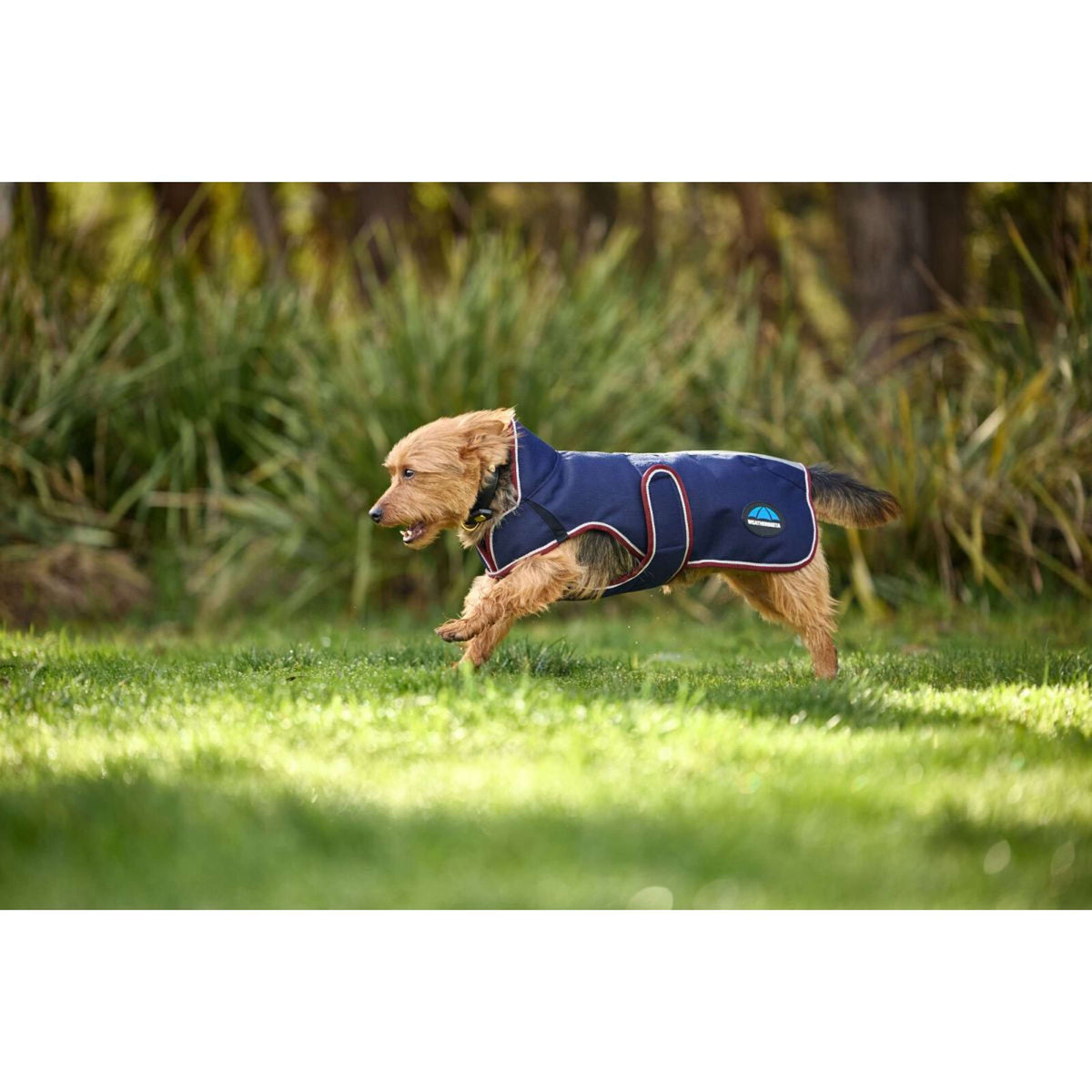 WeatherBeeta Hundedecke ComFiTec Premier Deluxe Waterproof Navy/Burgundy