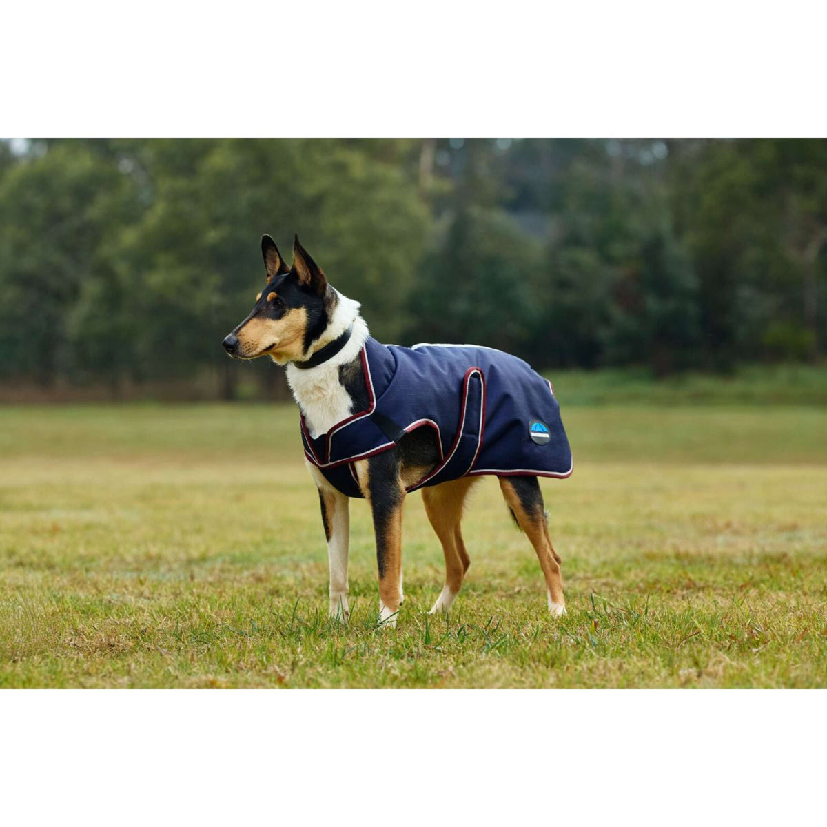 WeatherBeeta Hundedecke ComFiTec Premier Deluxe Waterproof Navy/Burgundy