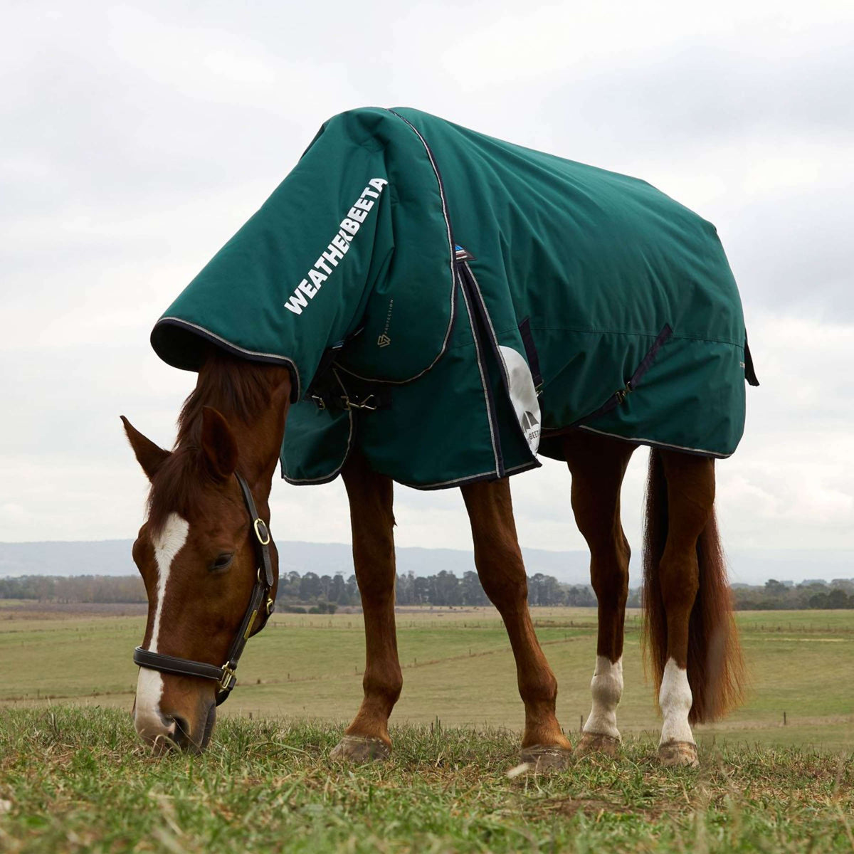 WeatherBeeta ComFiTec Plus Dynamic Turnout Detach-A-Neck 360g Forest Green/Navy