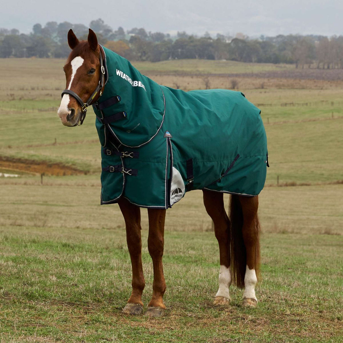 WeatherBeeta ComFiTec Plus Dynamic Turnout Detach-A-Neck 360g Forest Green/Navy