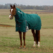 WeatherBeeta ComFiTec Plus Dynamic Turnout Detach-A-Neck 360g Forest Green/Navy